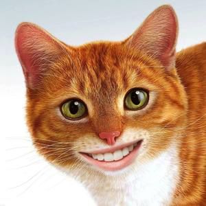 Meet your Posher, Kari